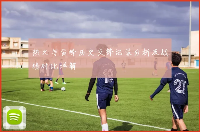 热火与黄蜂历史交锋记录分析及战绩对比详解