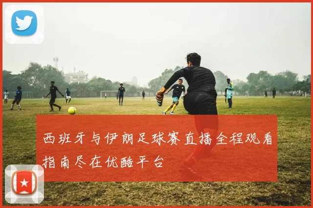 西班牙与伊朗足球赛直播全程观看指南尽在优酷平台