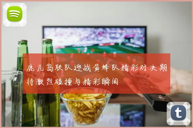 鹿儿岛联队迎战黄蜂队精彩对决期待激烈碰撞与精彩瞬间