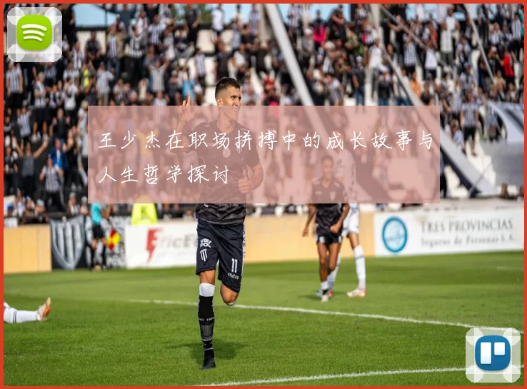 王少杰在职场拼搏中的成长故事与人生哲学探讨