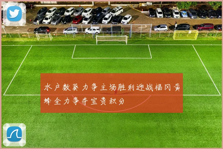 水户数葵力争主场胜利迎战福冈黄蜂全力争夺宝贵积分