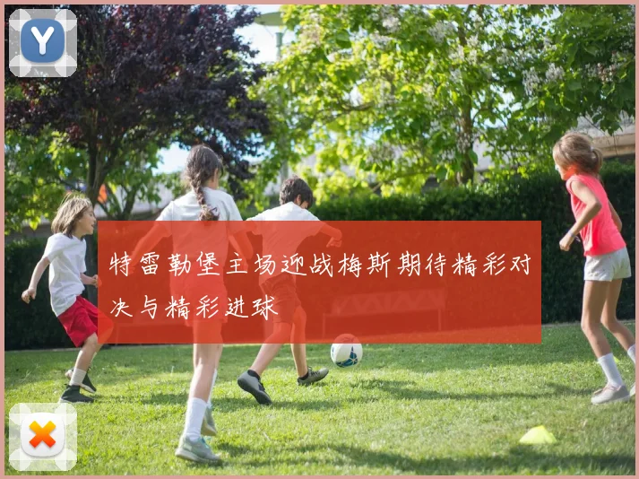 特雷勒堡主场迎战梅斯期待精彩对决与精彩进球